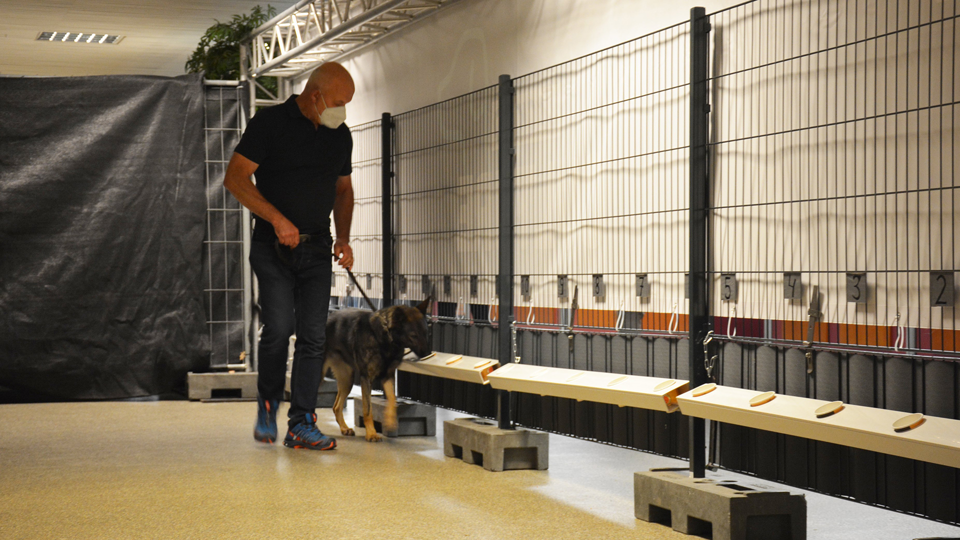Ein Mann führt einen Corona-Spürhund. | Tierhochschule Hannnover