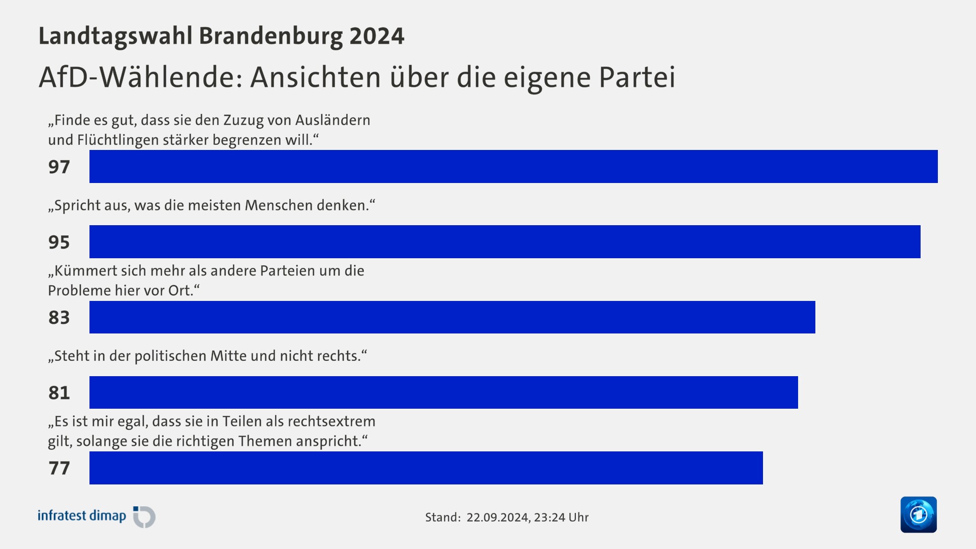 AfD-Wählende: Ansichten über die eigene Partei