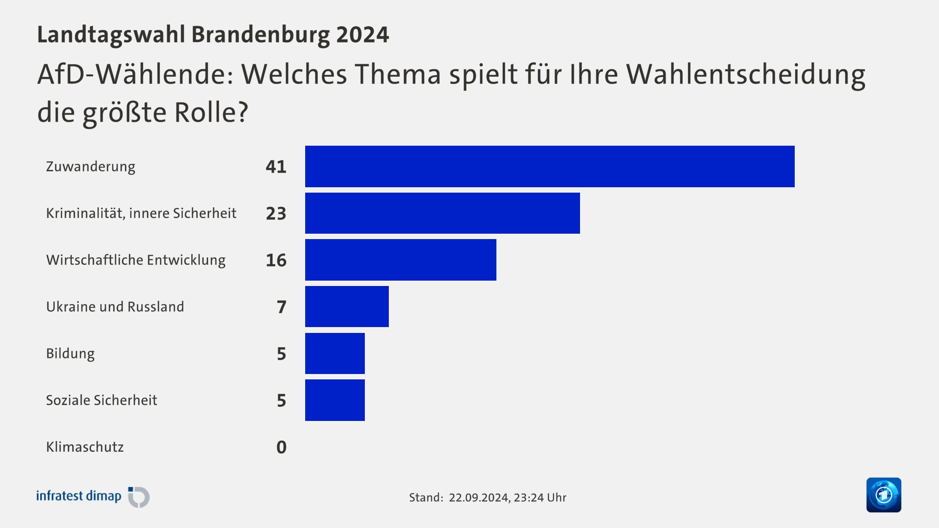 AfD-Wählende: Welches Thema spielt für Ihre Wahlentscheidung die größte Rolle?